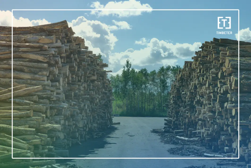 Global forestry market growth: What’s driving timber demand in 2026 — and why accurate measurement matters