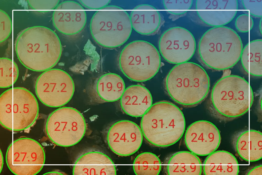 The hidden costs of incorrect log measurement