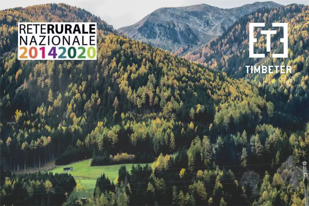 Timbeter présenté dans les directives clés du gouvernement italien « Perspectives et potentiel de numérisation du secteur forestier en Italie »