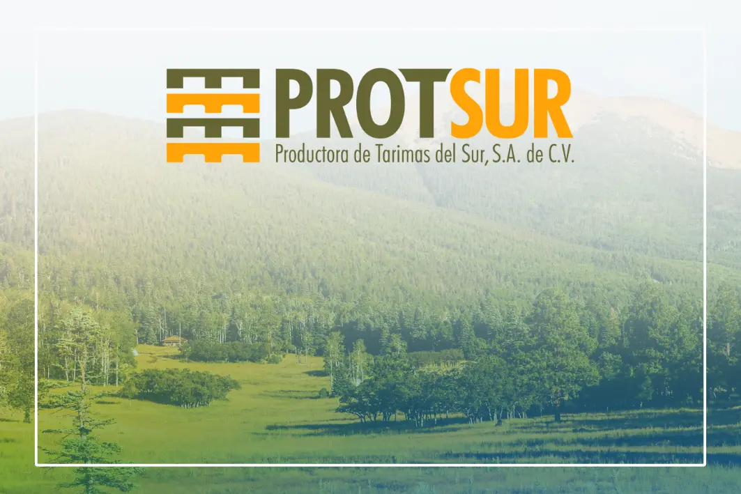 Timbeter celebrates its first client from Mexico: Protsur