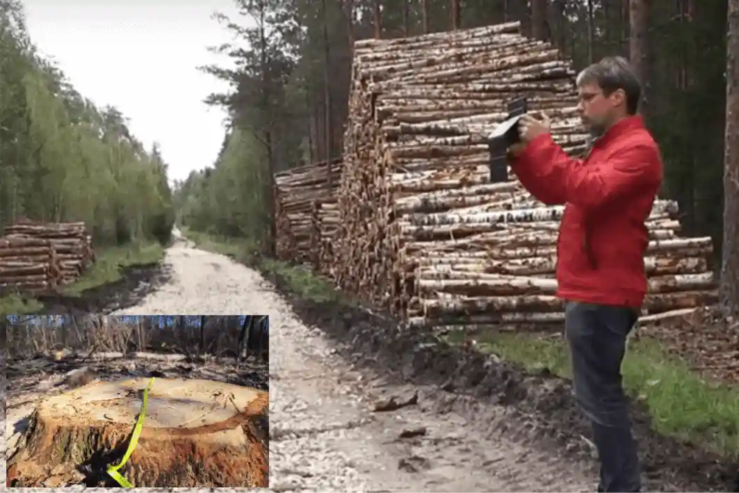 Käsitsi vs digitaalne mõõtmine: kuidas hoida kokku kulusid?