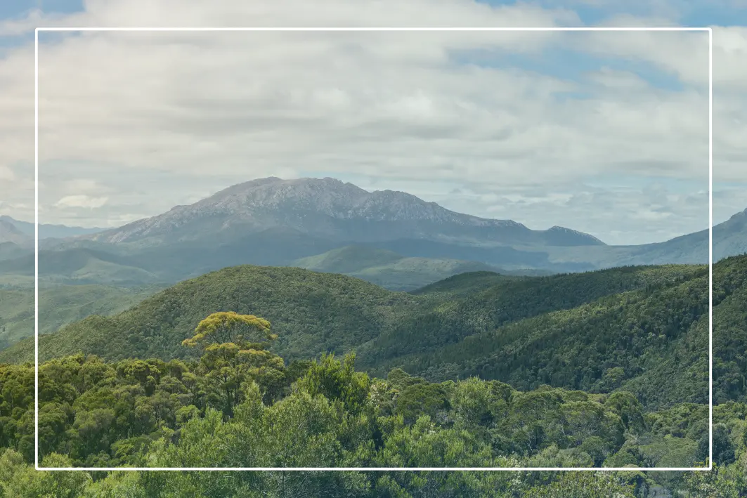 Tasmania’s native forestry faces a new era of oversight — why measurement and traceability matter more than ever