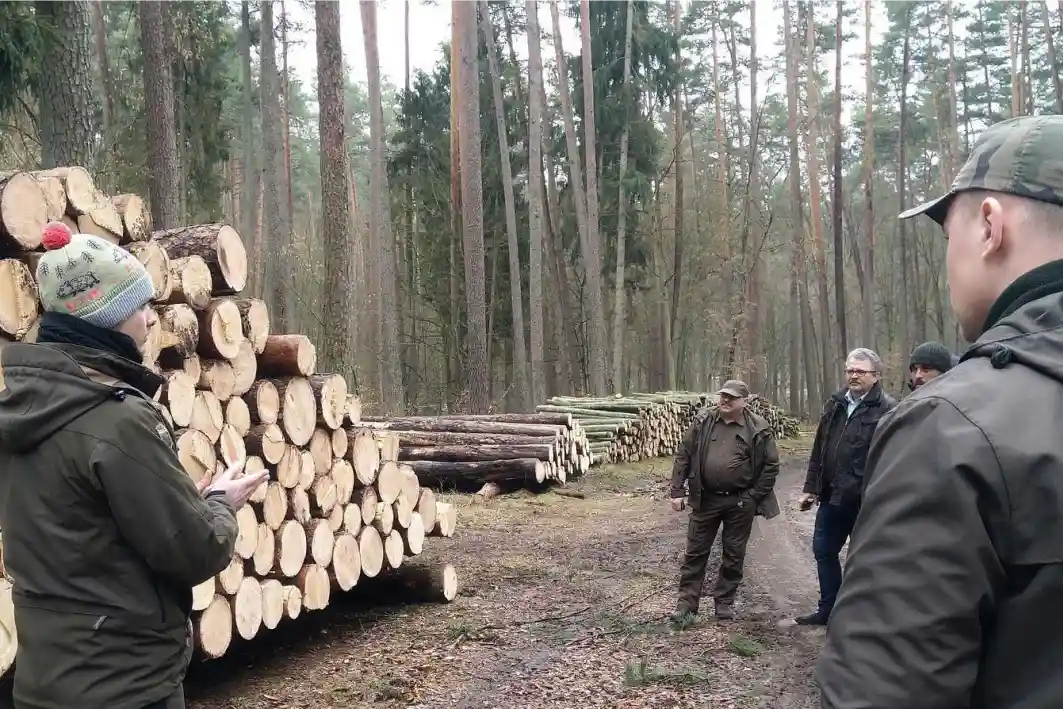 El Holding Nacional de Bosques Estatales de Polonia en cooperación con Timbeter