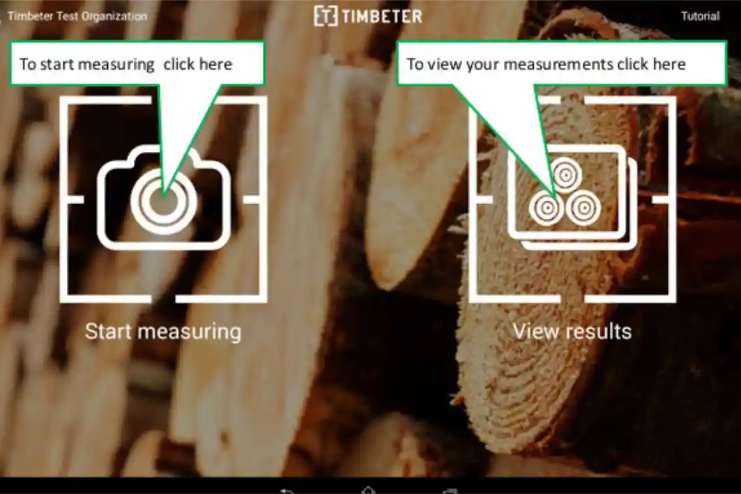 Timber Measurement – How To Get Started With Timbeter