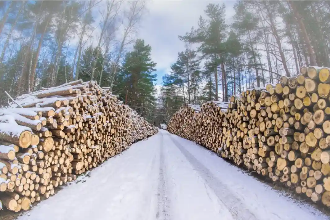 How do weather conditions affect log measuring?