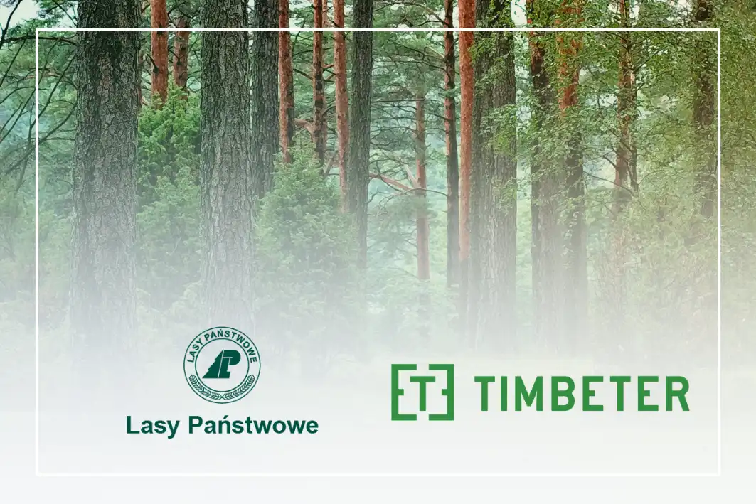 Timbeter Revolutionizes Timber Measurement in Poland with Innovative AI Technology