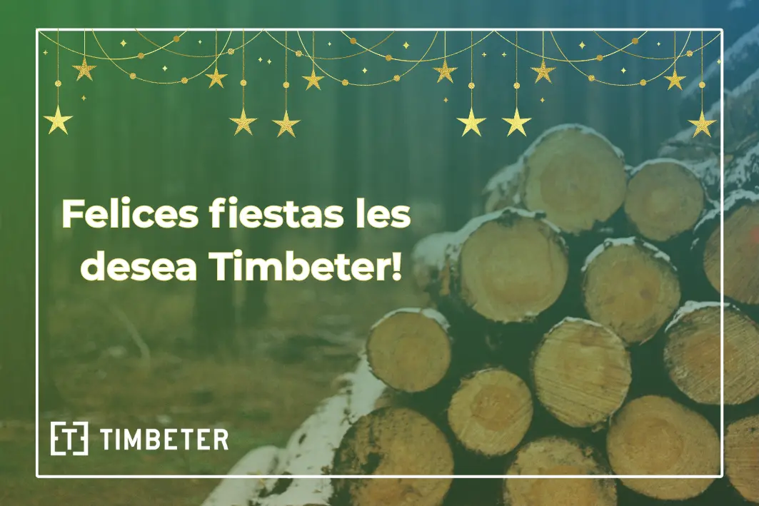 Feliz Navidad y un Año Nuevo Mediblemente Mejor: Resumen de Timbeter 2025