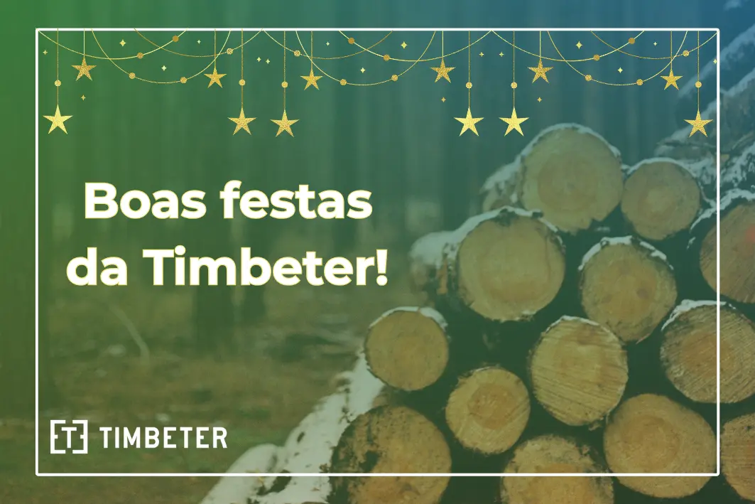 Feliz Natal e um Ano Novo “Mensuravelmente” melhor: Um encerramento de 2025 da Timbeter