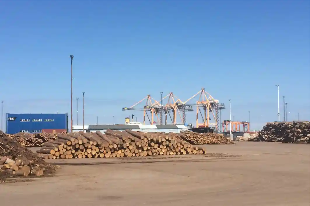 Timbeter launches new application for log counting and volume estimation of timber in containers