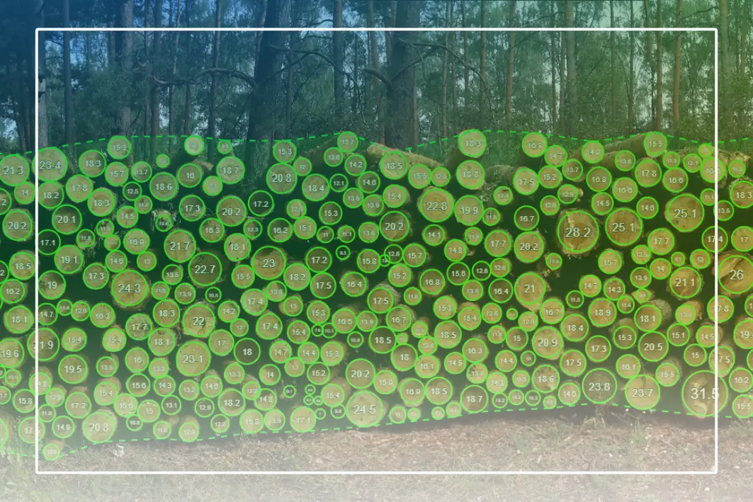 Bridging Forestry and Technology: Interview with Dr. Arkadiusz Stańczykiewicz from the University of Agriculture in Kraków