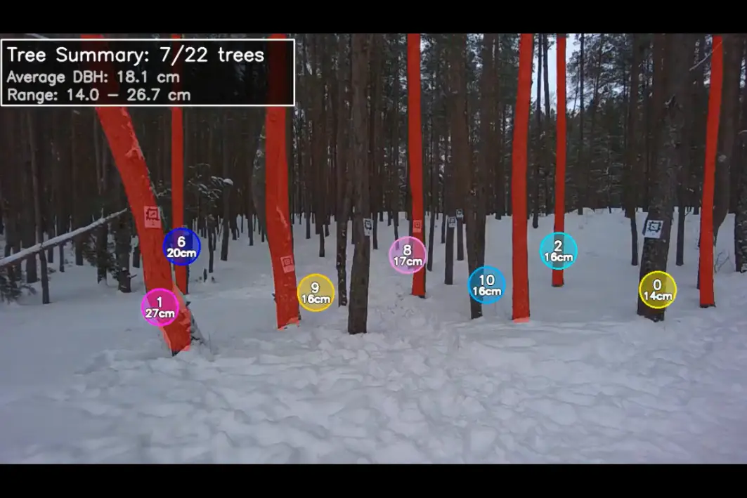 Digital forest measurement: Introducing the Timbeter Forest prototype