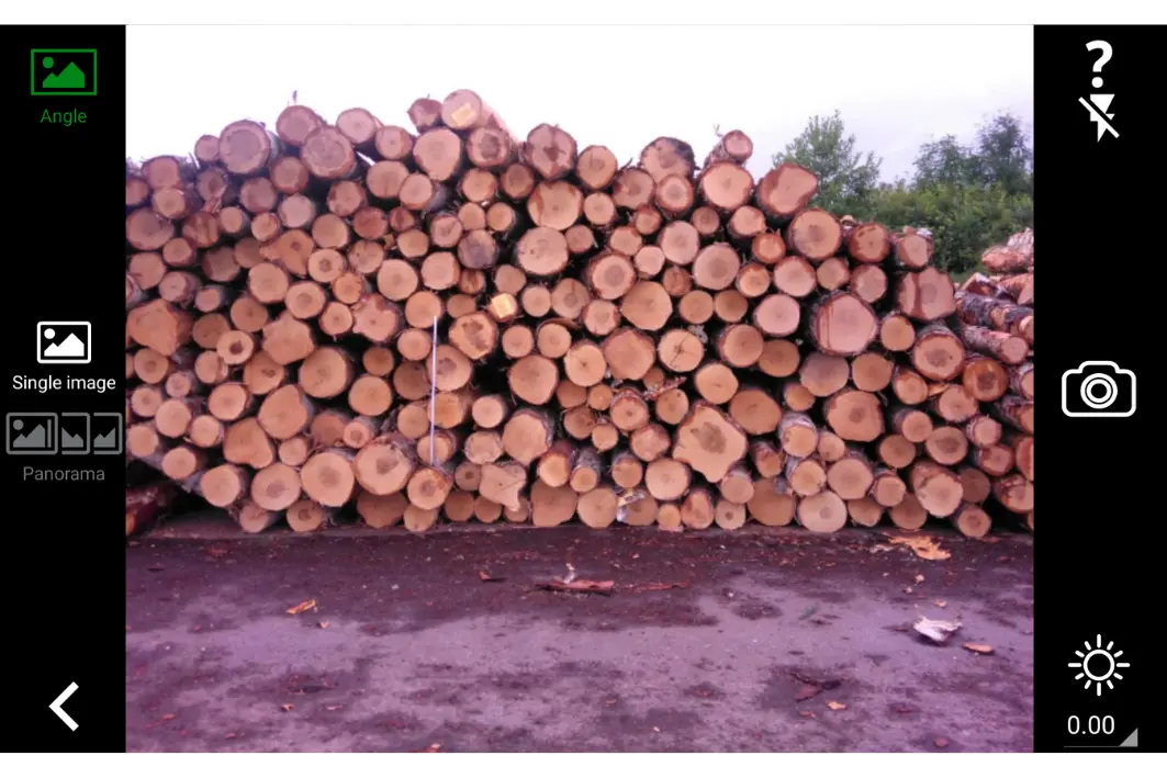 Take a photo of the pile