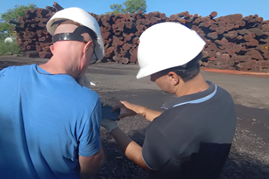 What they measured and why