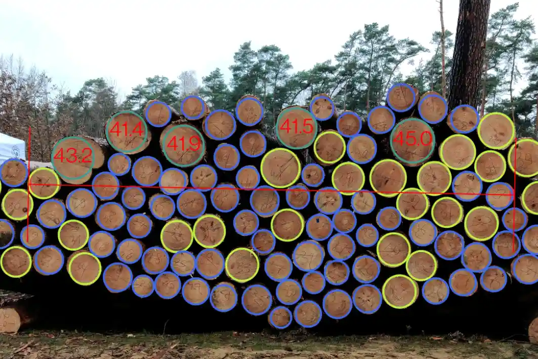 Timbeter diameter profiles