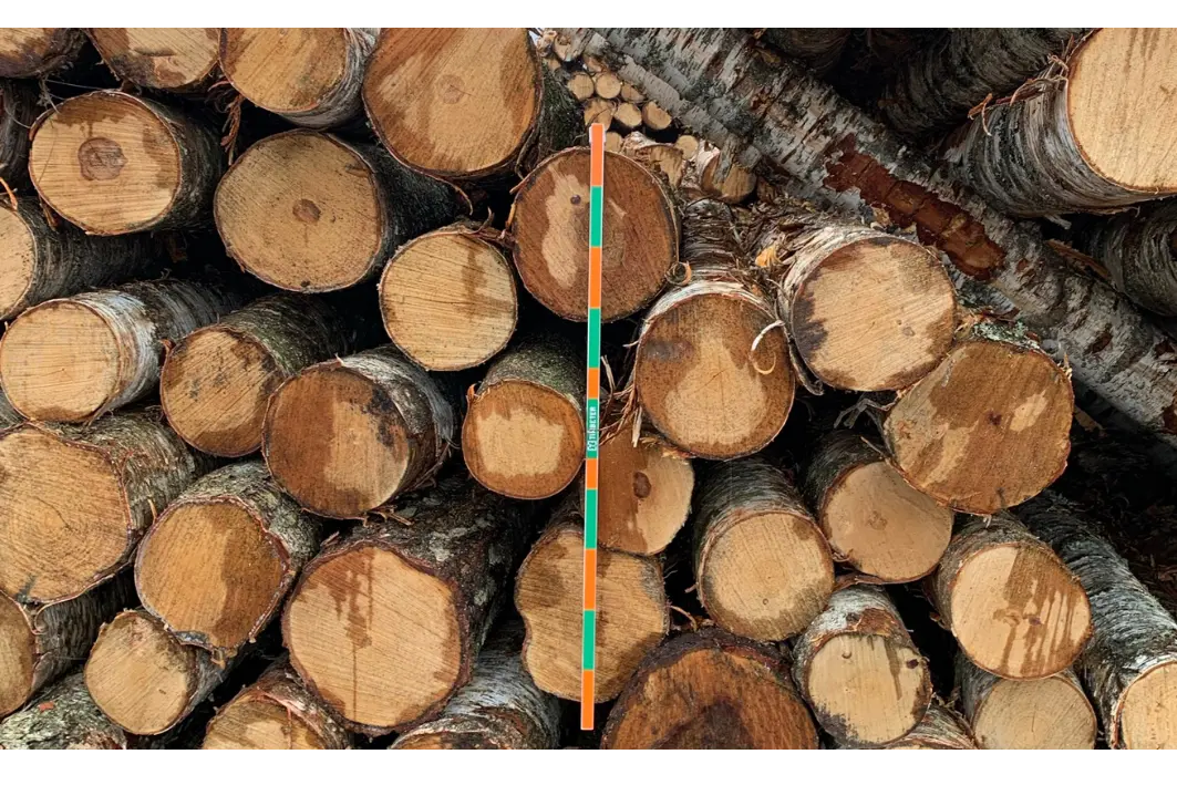 Qué necesitas antes de medir