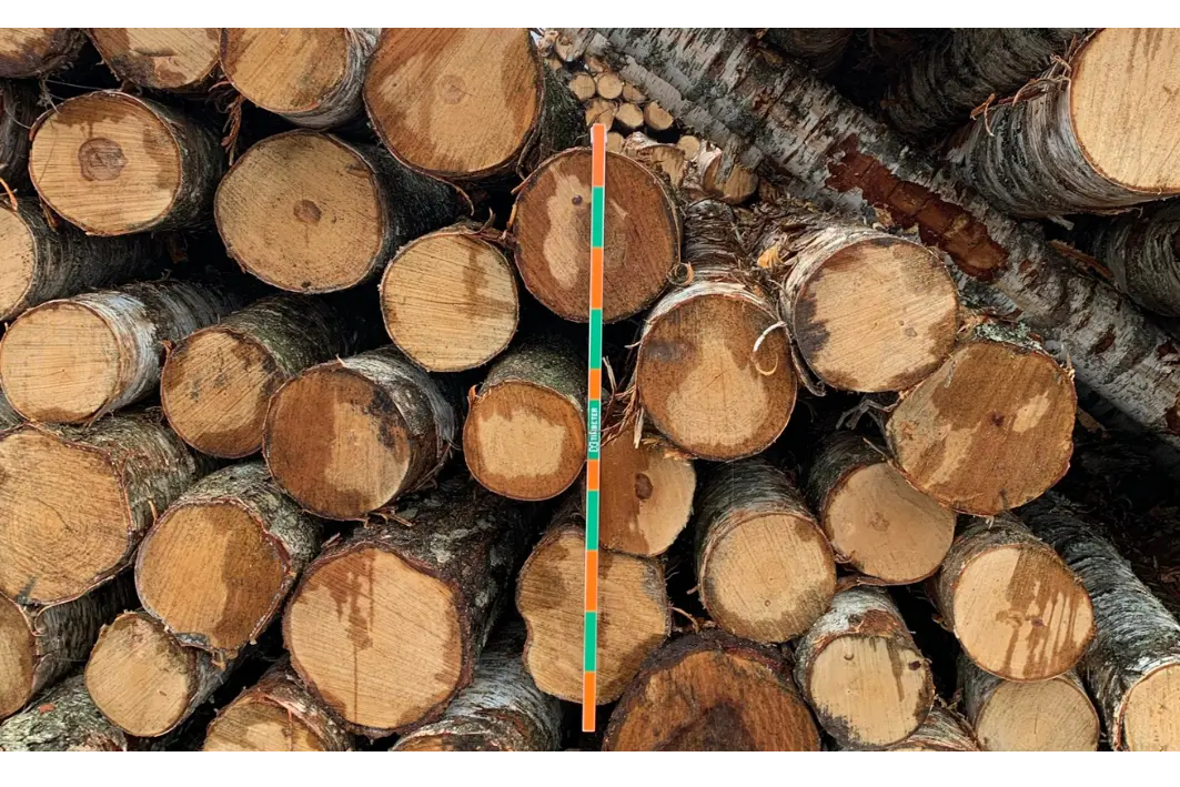 O que você precisa antes de medir