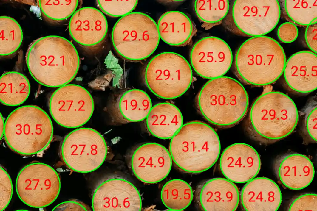 Timber measurement